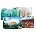 Bank of the Sierra Visa Bonus Rewards Card